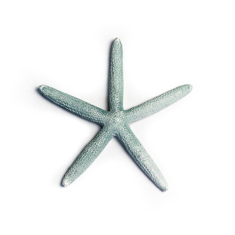 Estrela do Mar - Iemanjá (14cm)